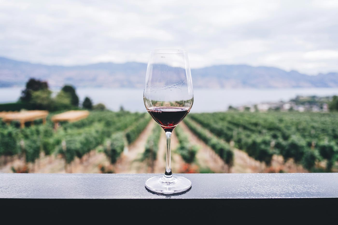Valpolicella | Showcasing Red Wine products