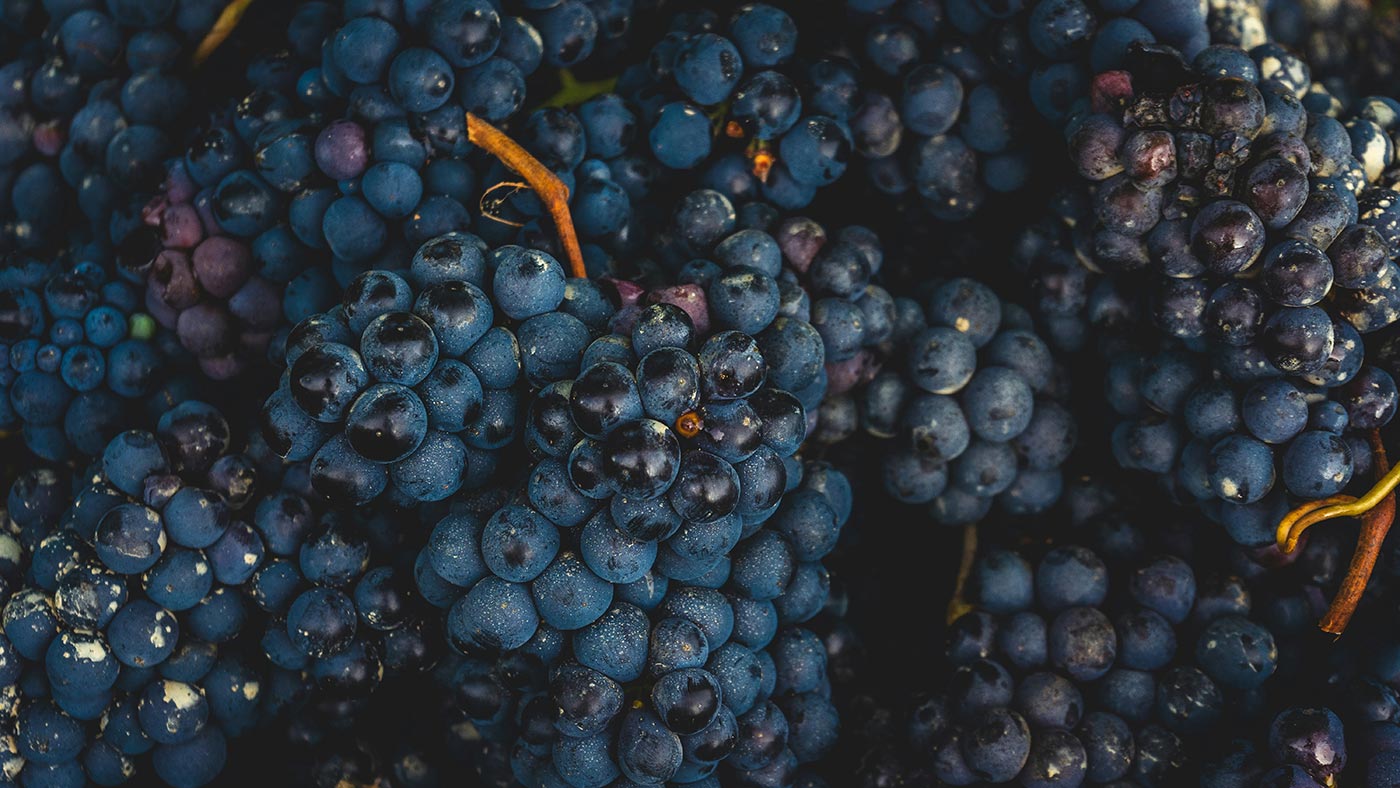 Porto | Showcasing Wine products